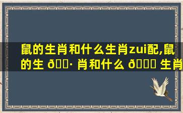 鼠的生肖和什么生肖zui
配,鼠的生 🌷 肖和什么 🐝 生肖zui
配婚姻